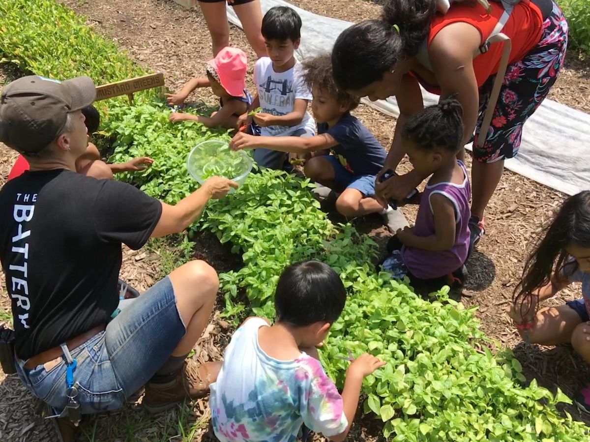 Farm Tour for Kids at The Battery Urban Farm