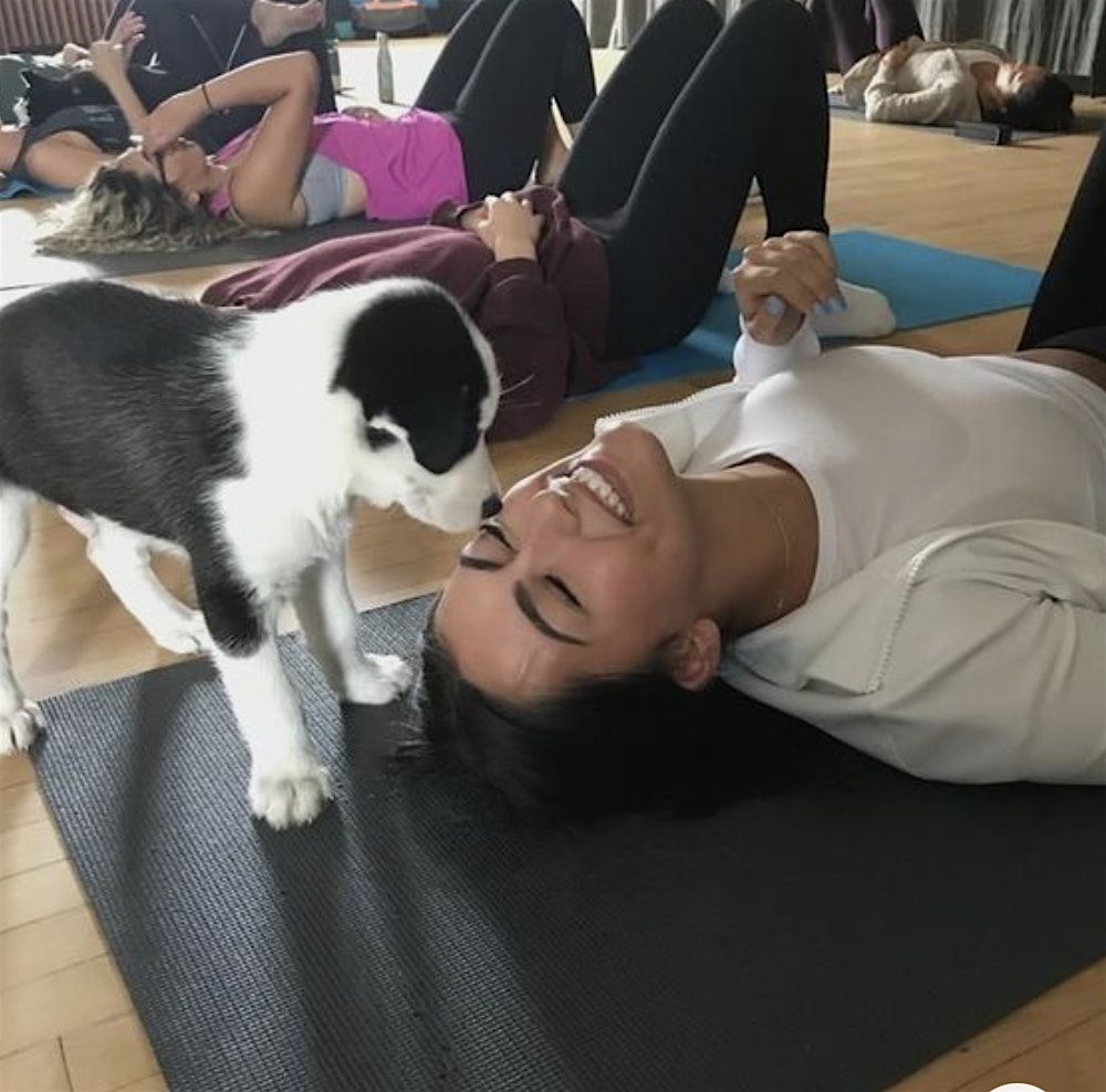 Puppy  Yoga & Mocktails