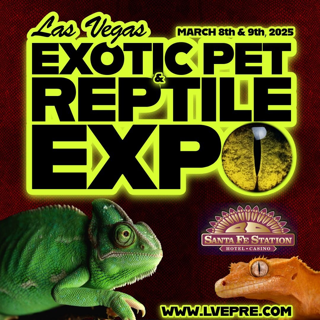 Next Expo: Las Vegas Exotic Pet & Reptile Expo