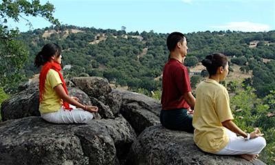 Meditation 1 Course (5 Sessions)
