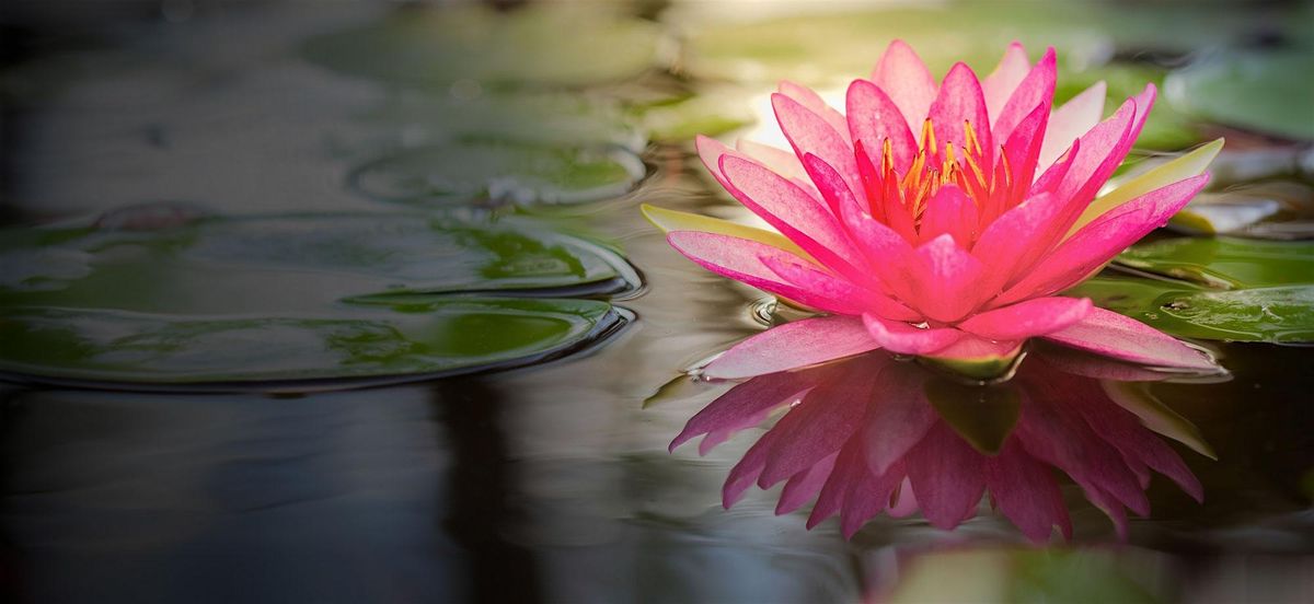 Yoga and Sound Bath