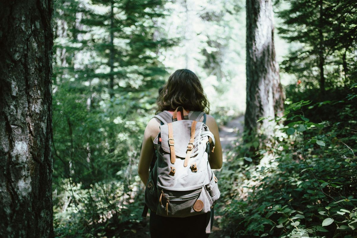 Women's Forest Bathing and Meditation in Secret Garden