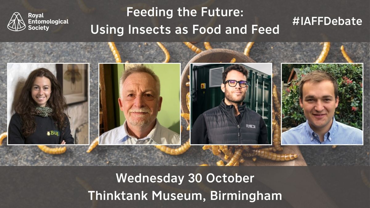 Public Debate: Feeding the Future - Using Insects as Food and Feed