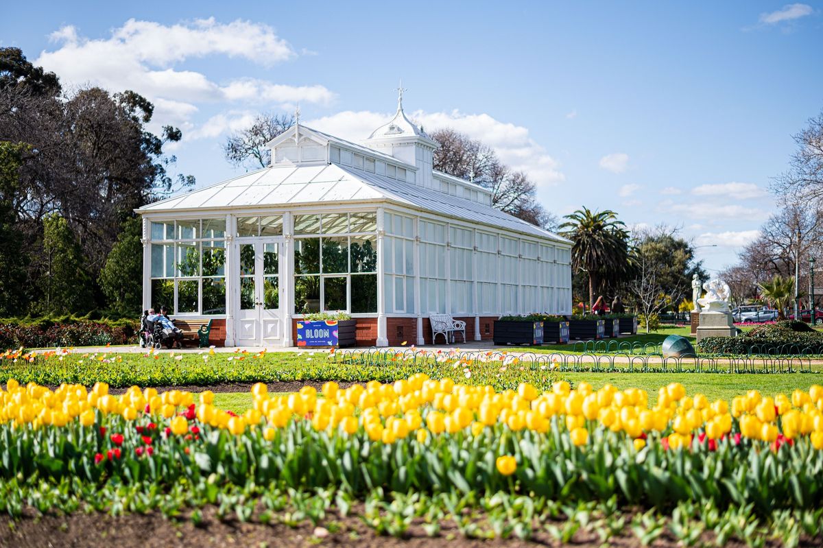 Bendigo Annual Tulip Display