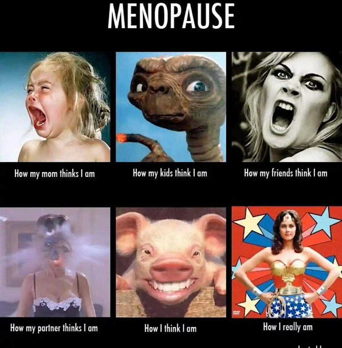 Menopause Speaks #2: Hot & Bothered