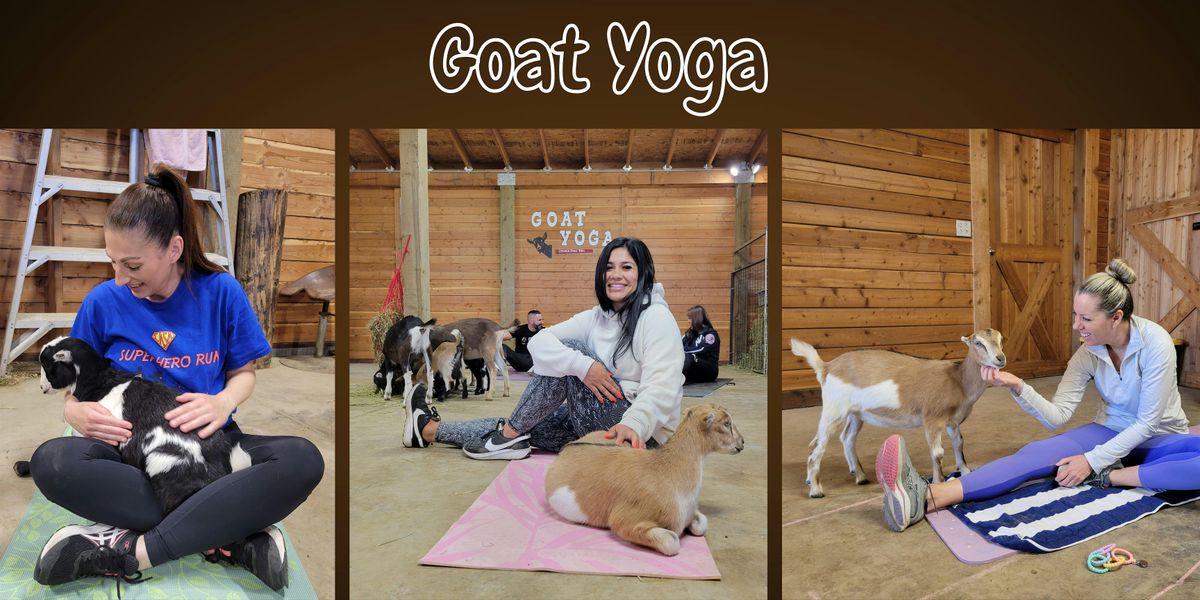 Goat Yoga