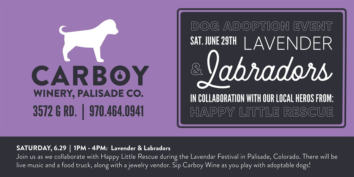 Lavender and Labradors Dog Adoption Event