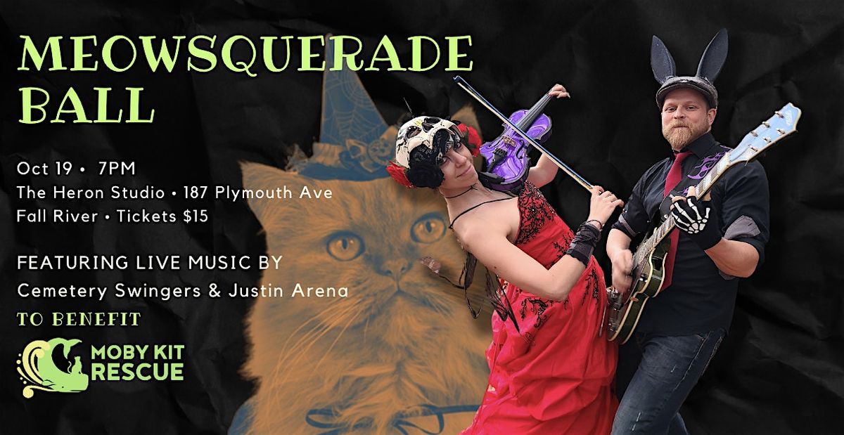 Meowsquerade Ball to benefit Moby Kit Rescue