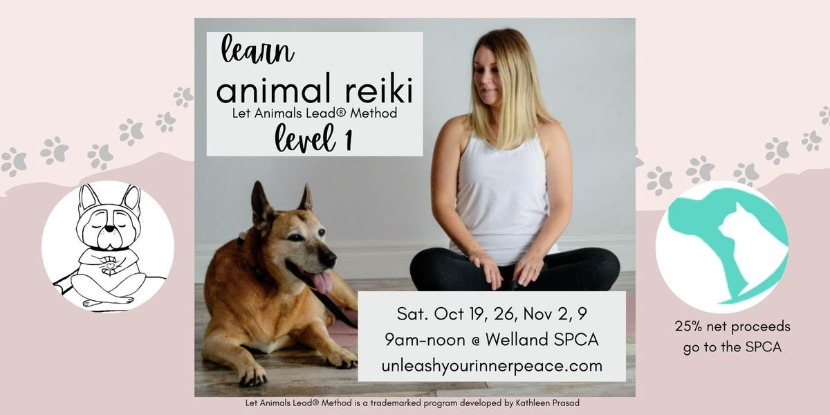 Learn Animal Reiki 1 - Let Animals Lead\u00ae Method 