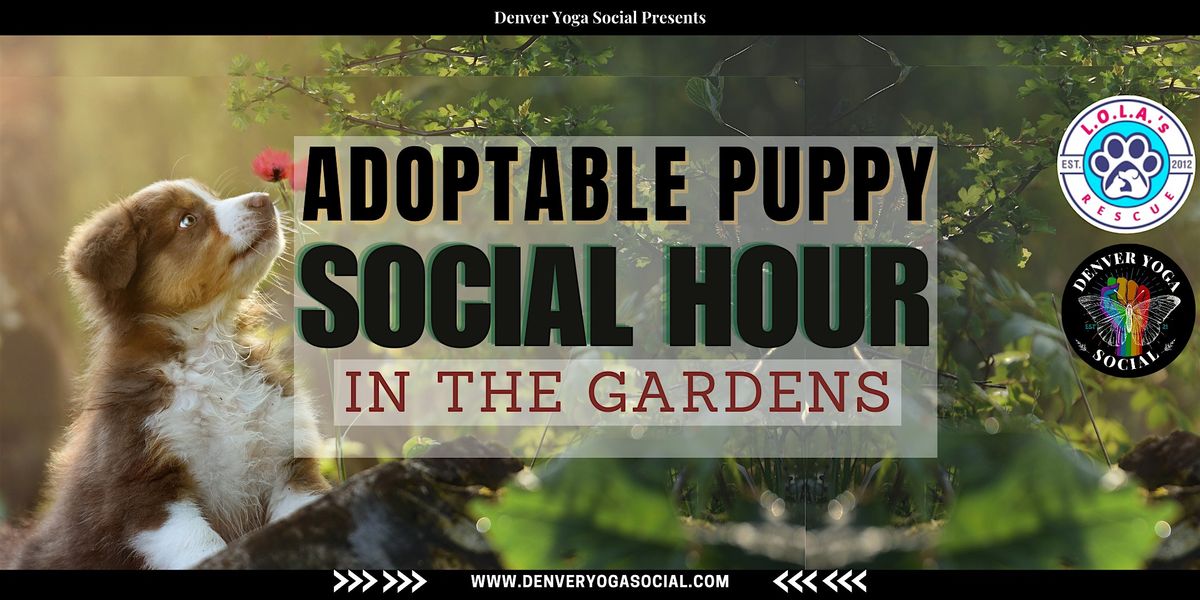 Adoptable Puppy Social Hour in the Gardens (NO YOGA)
