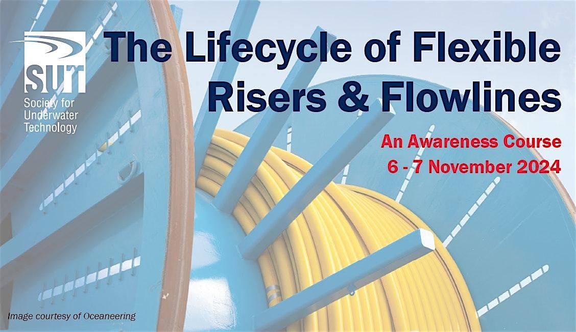 The Lifecycle of Flexible Risers & Flowlines Course 2024