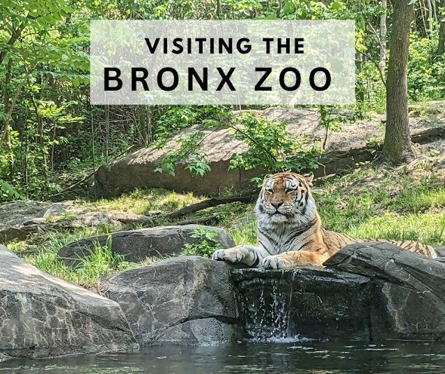 July 20th (Sat) - Bronx Zoo Trip