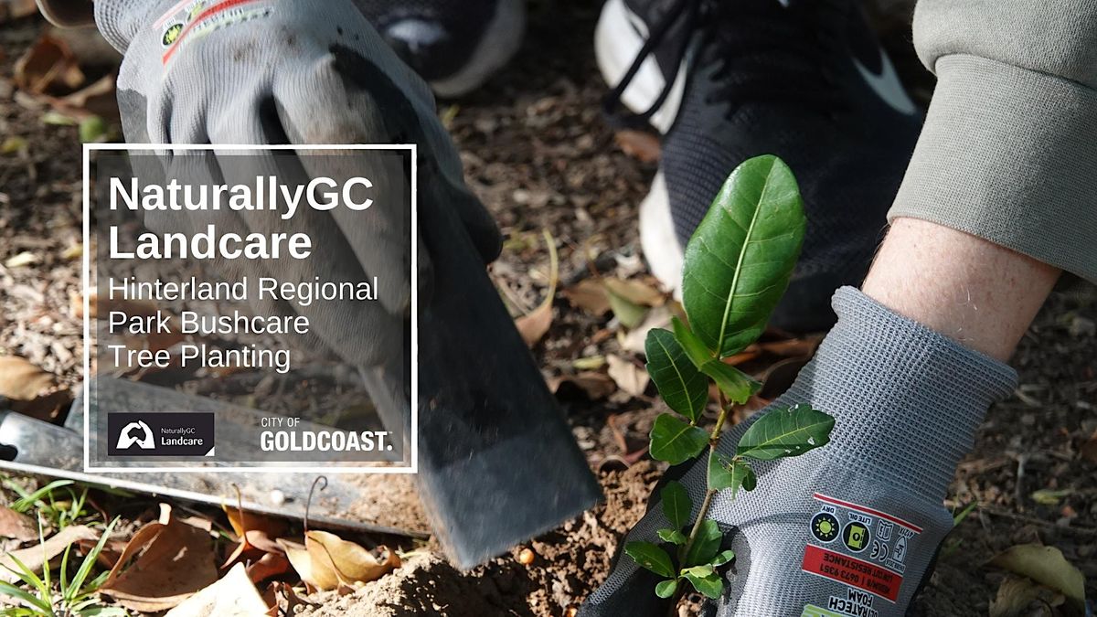 NaturallyGC: Hinterland Regional Park- Tree Planting
