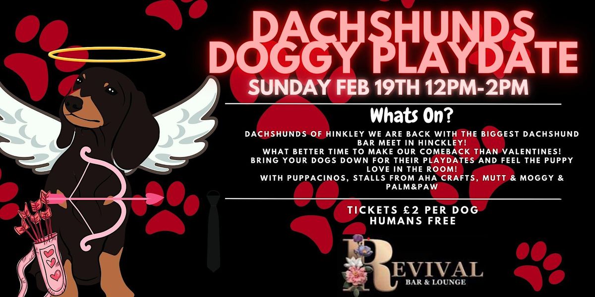 Dachshunds Doggy Playdate, Revival Lounge & Bar, Hinckley, 19 February 2023