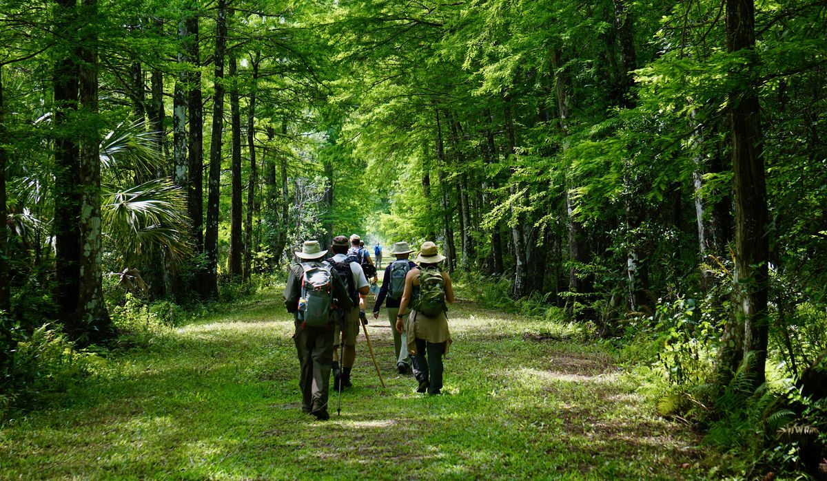 Guided Hike the Loop: CREW Bird Rookery Swamp Trails (12 Miles)