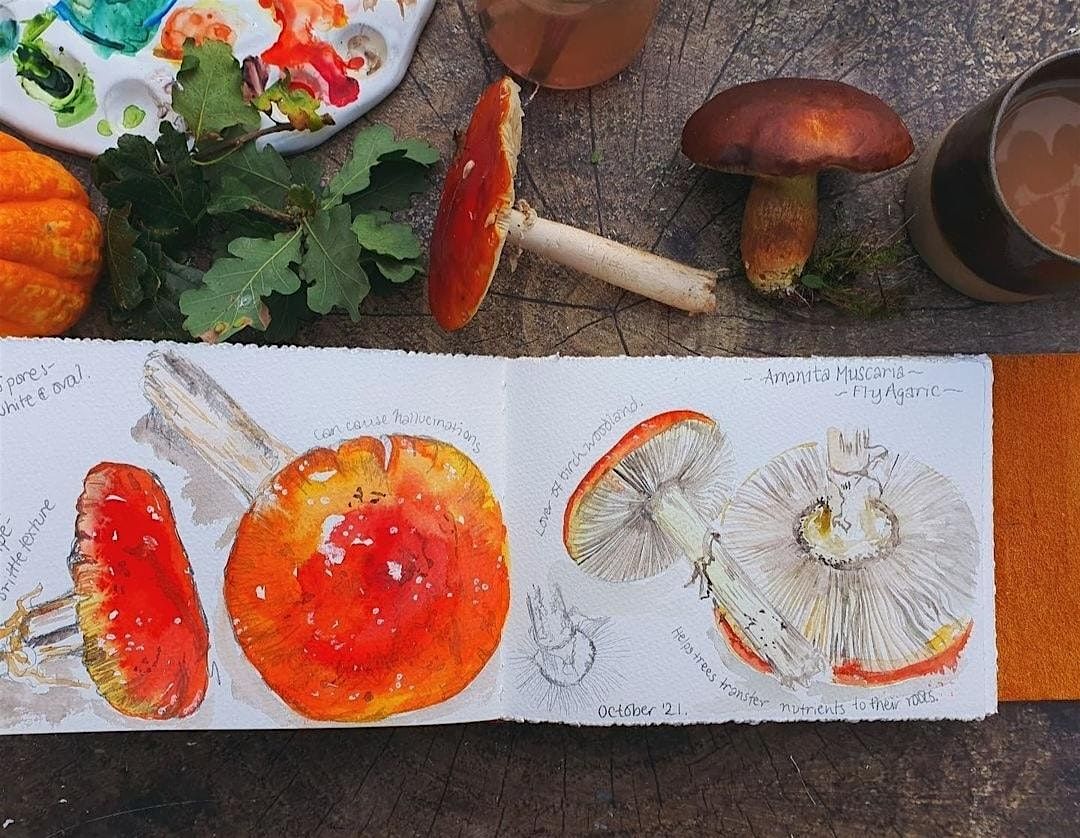 Art to Relax, Fungi, Windsor Great Park - Wednesday 9 October