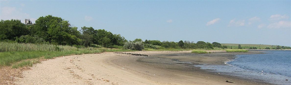 Canarsie Park\/Paerdegat Basin Clean Up