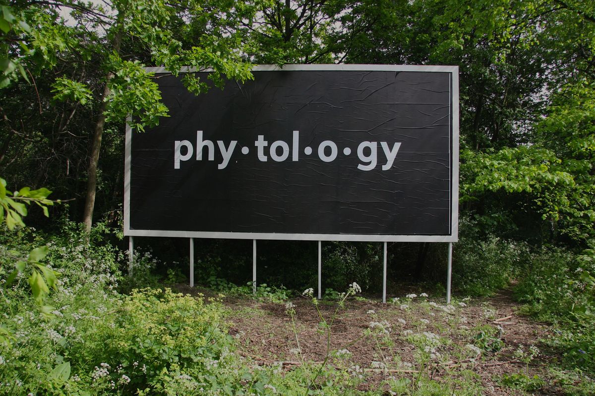 Inside Out: Phytology Site Visit
