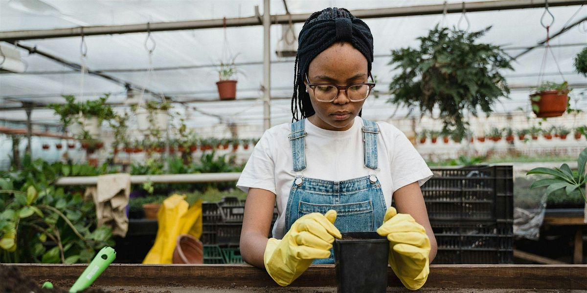 Balcony and Vegetable Gardening in Pots Workshop | Sutherland Library