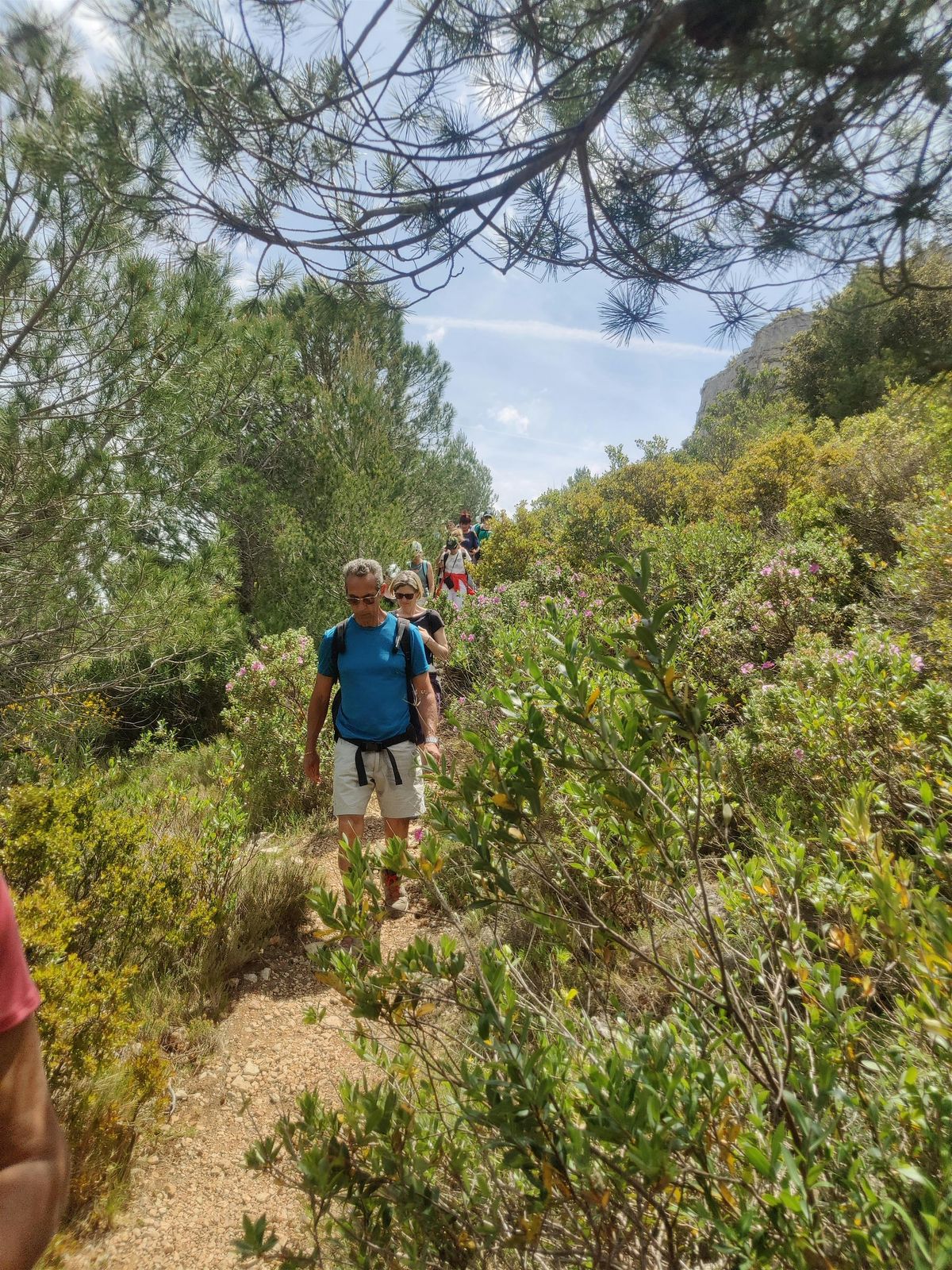 Rando faune et flore dans le massif de Carpiagne