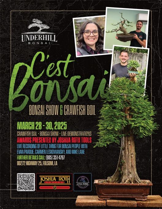 C\u2019est Bonsai