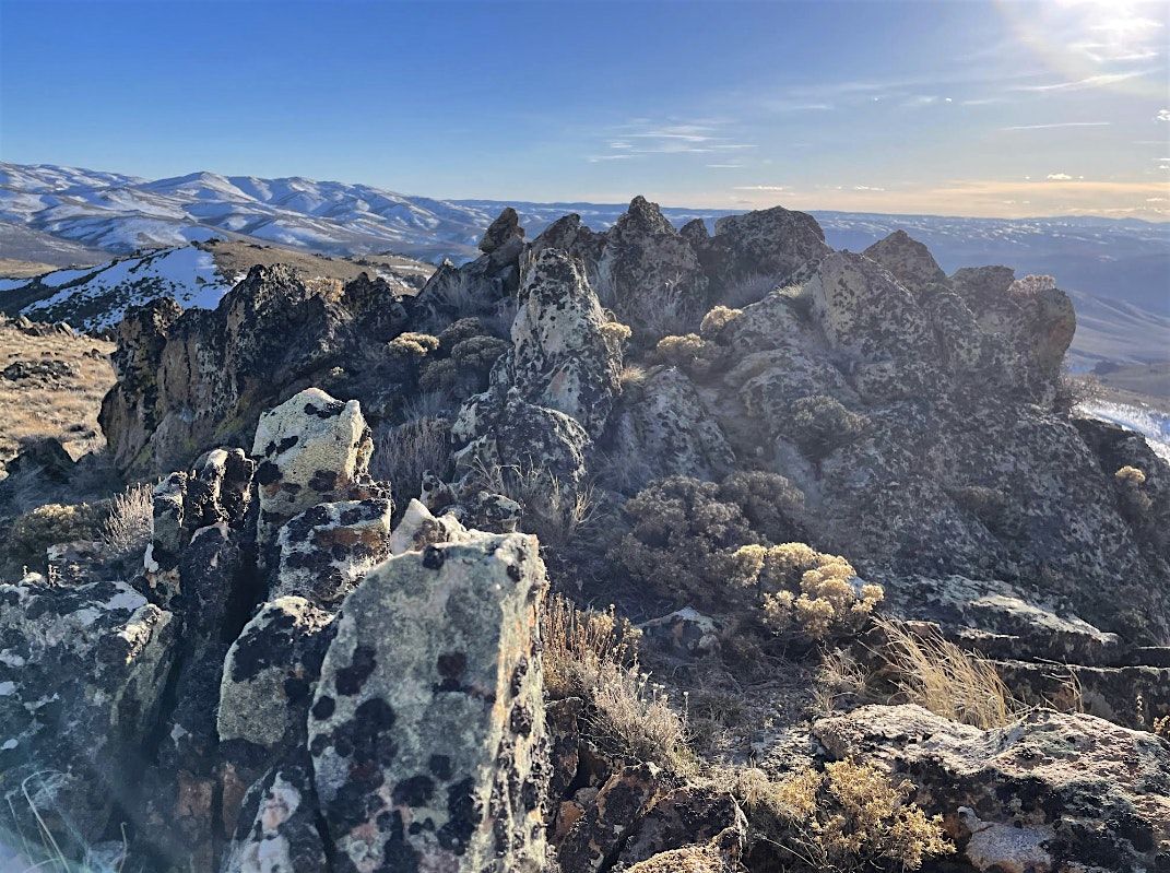 Doyle Mountain Guided Hike  - Boise, ID