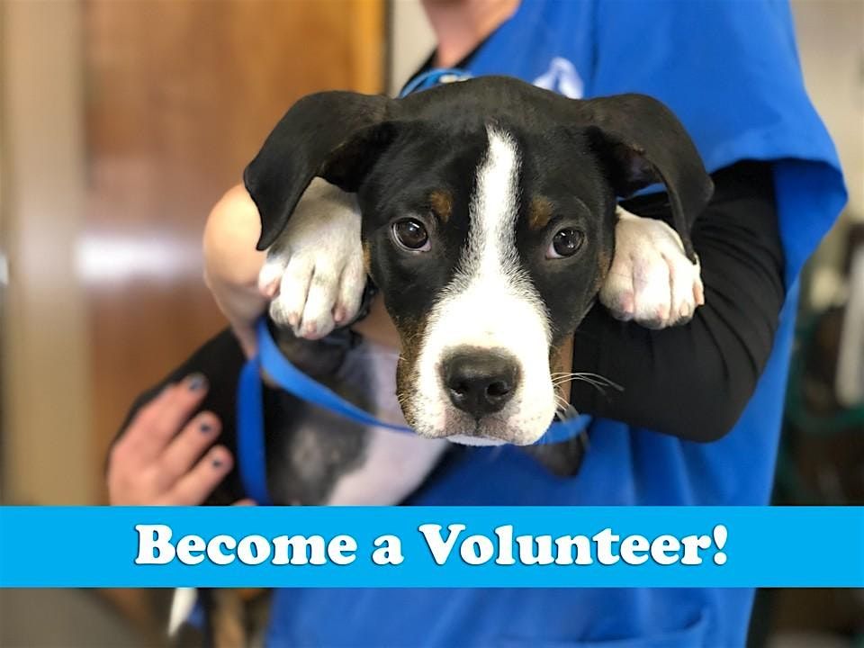 Berkeley Humane Volunteer Orientation 10\/19