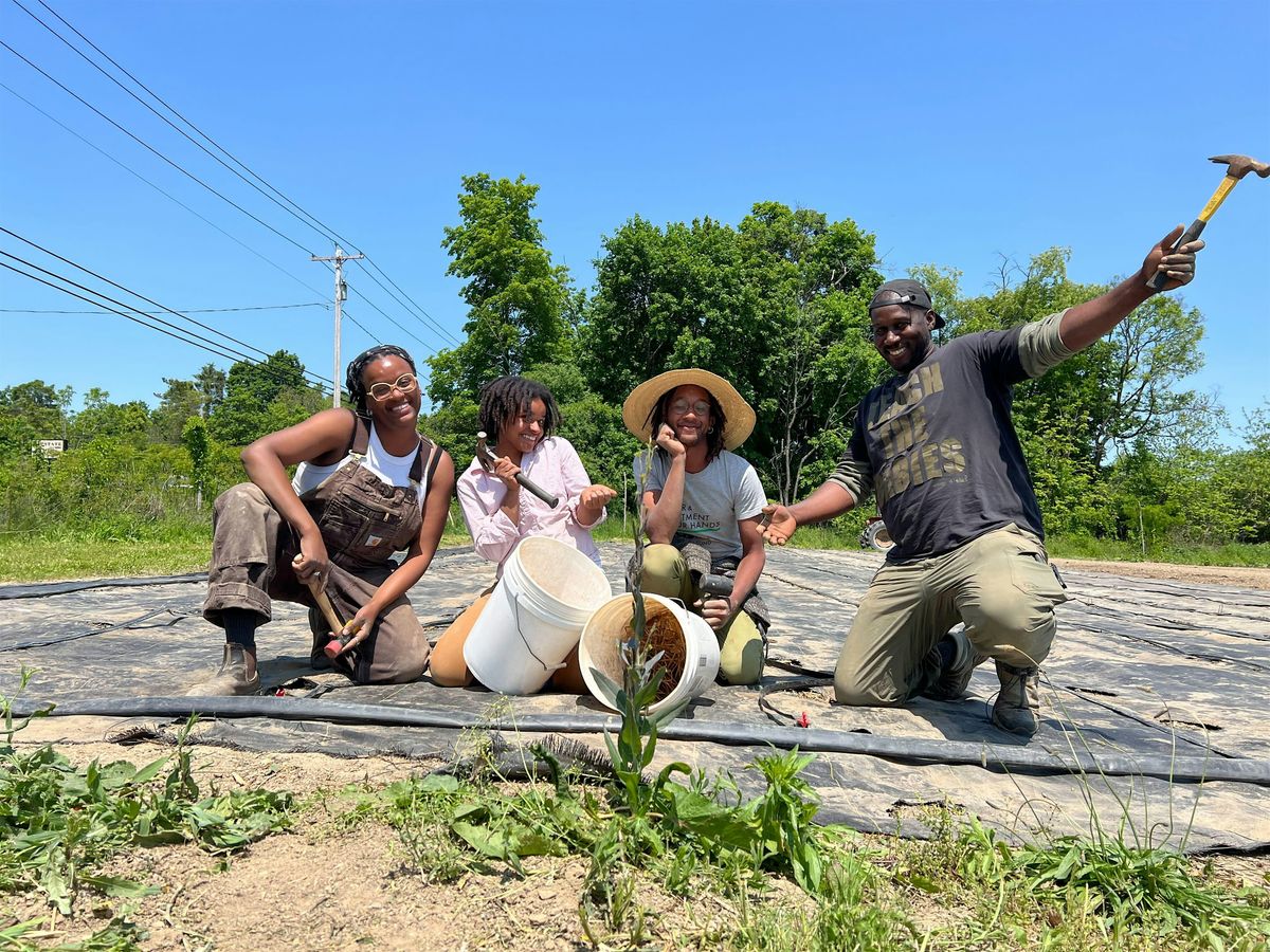 Community Farm Day: Second Saturdays with the Sweeties