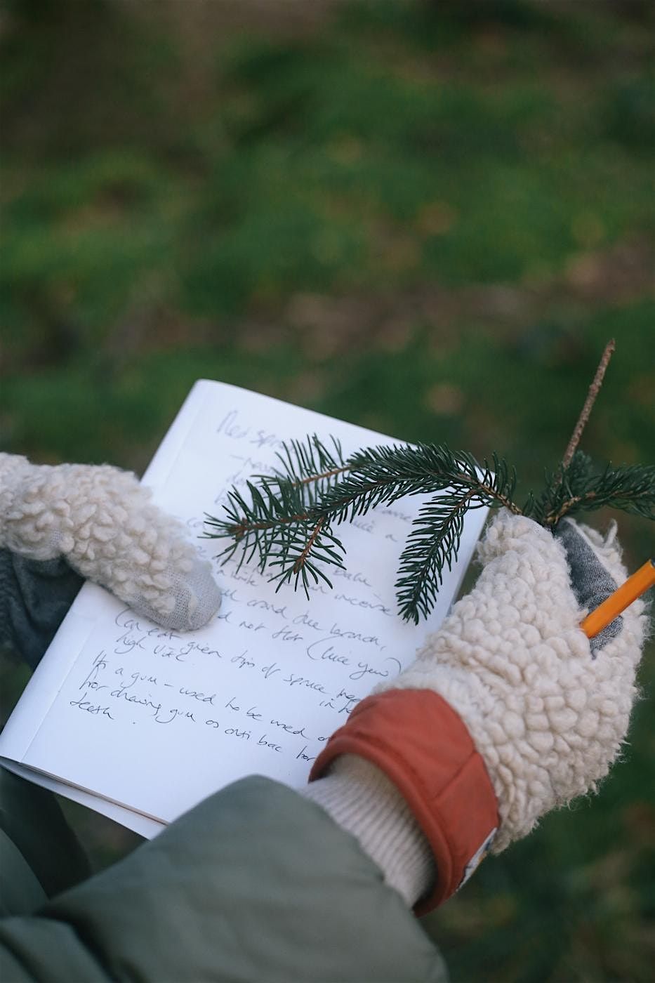 Wild Medicine Cabinet: Winter Medicine Making