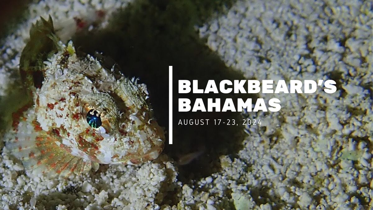 Blackbeard's Bahamas Live-Aboard Cruise