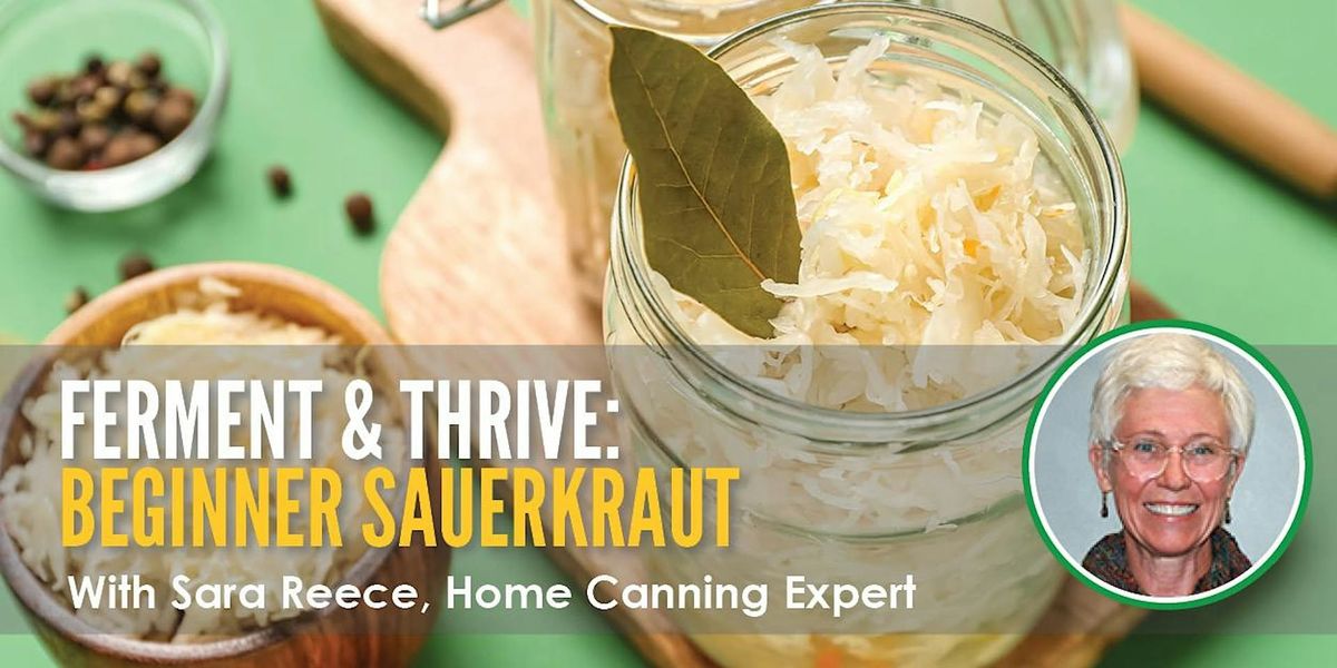 Ferment & Thrive: Beginner Sauerkraut