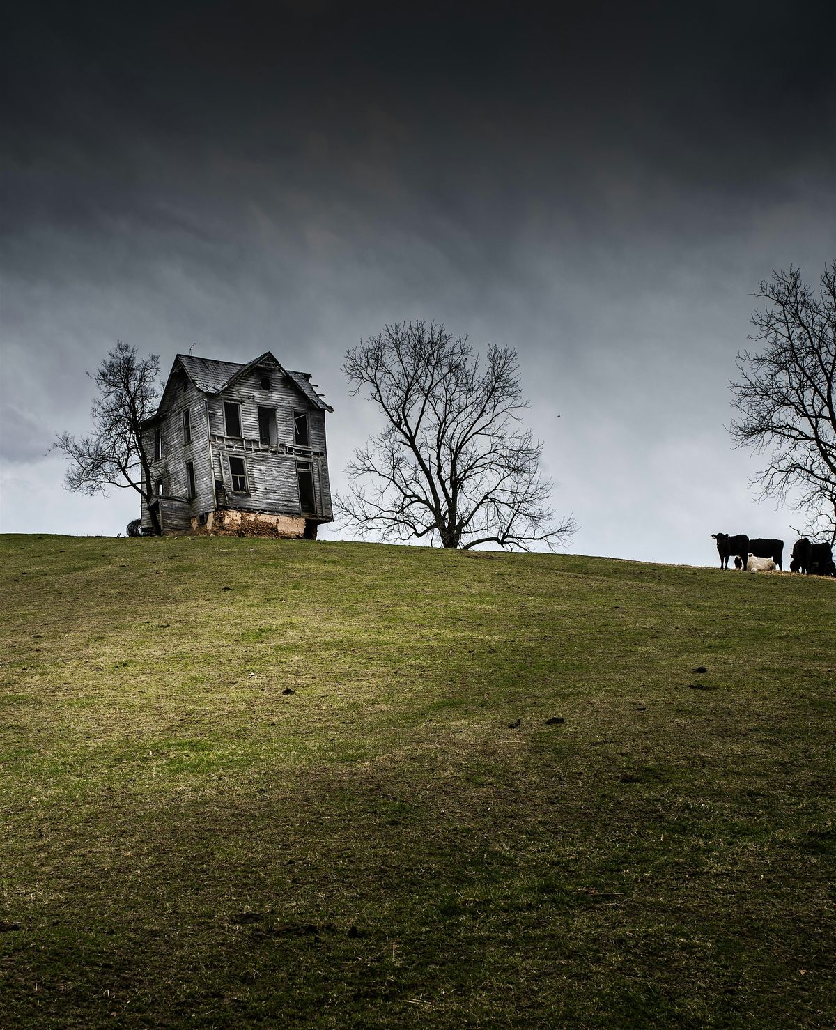 "Stories of an Abandoned Virginia"