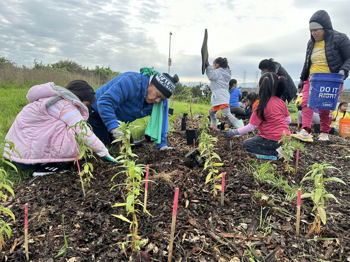 Volunteer Outdoors in East Palo Alto: Habitat Restoration at Cooley Landing