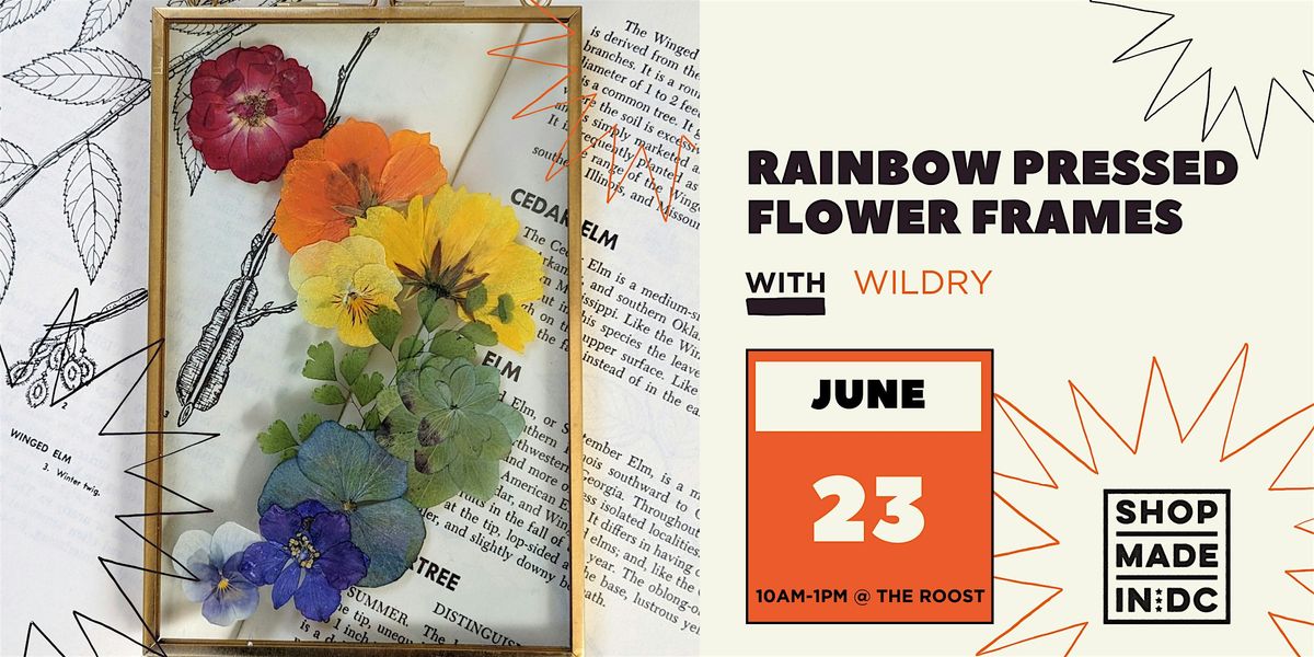 Rainbow Pressed Flower Frame Workshop w\/ Wildry