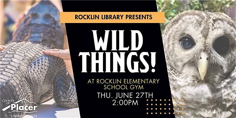 Wild Things at the Rocklin Elementary School Gym