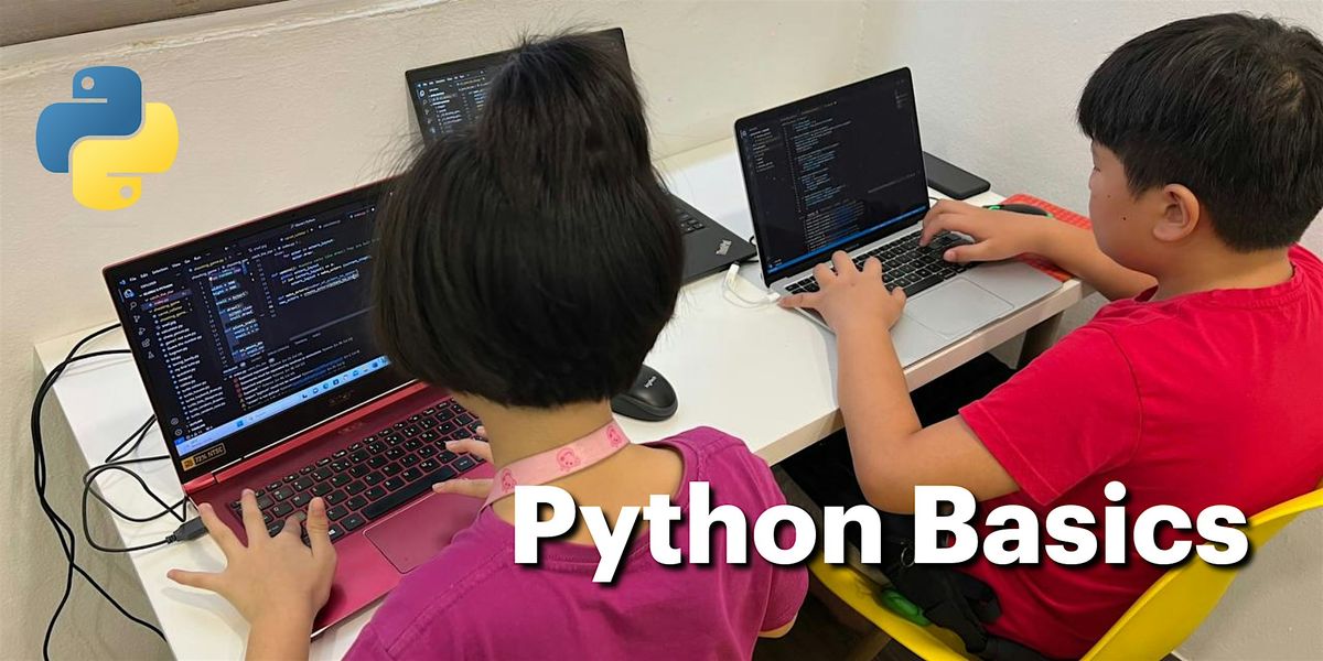 Python Basics Camp for Ages 11 to 19