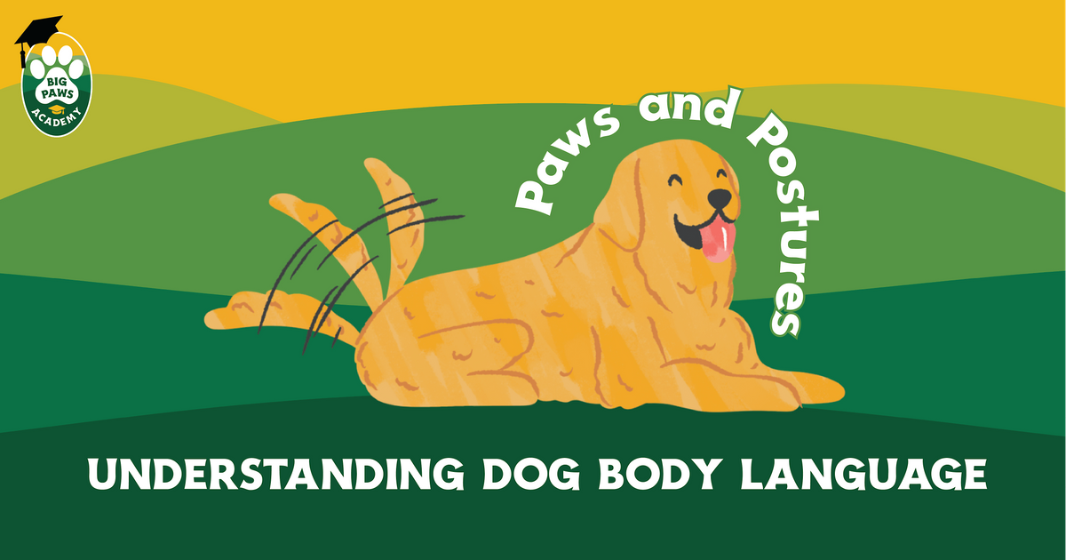 Paws For Understanding Paws and Postures: Understanding Dog Body Language, Big Paws of the ...