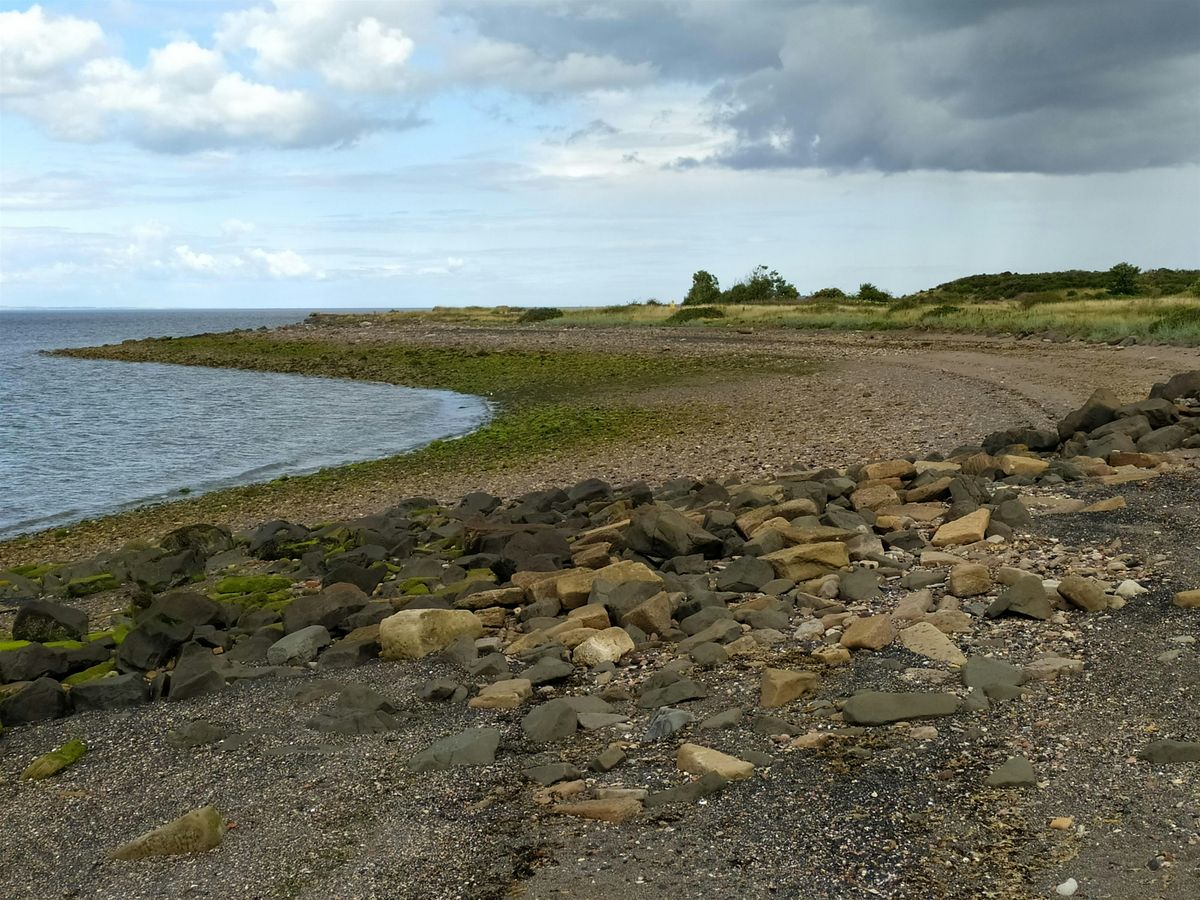 East Lothian Coastal Cleanup: Morrison's Haven