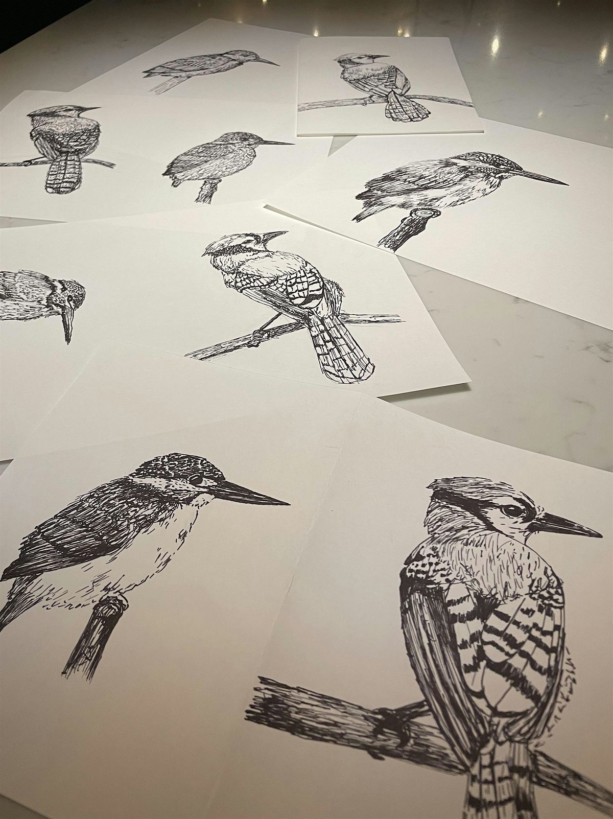 6 Week Drawing and Painting Course