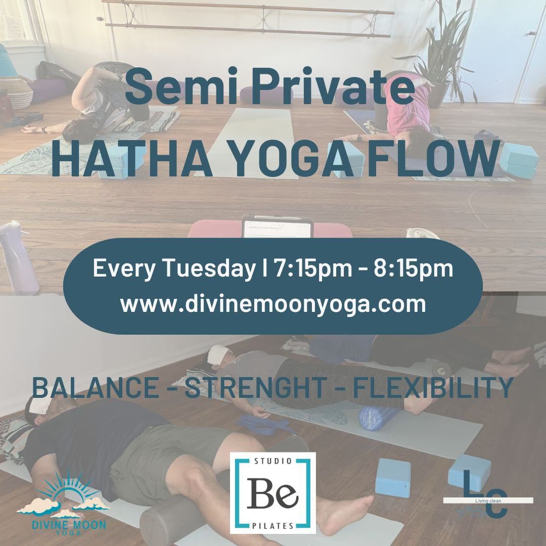 Semi Private Hatha Yoga Flow Class