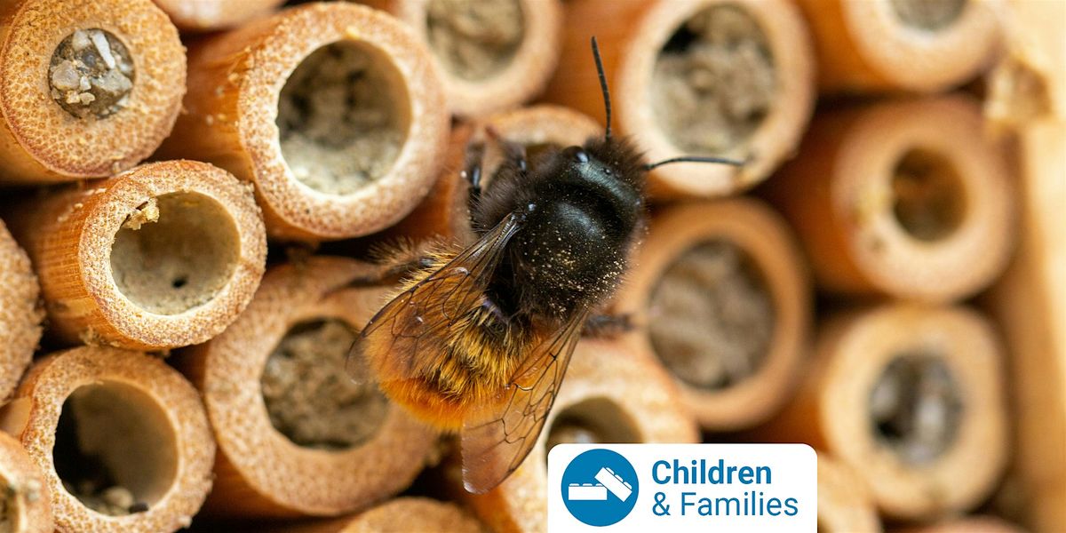 Bee Hotel Workshop at Sunshine Library