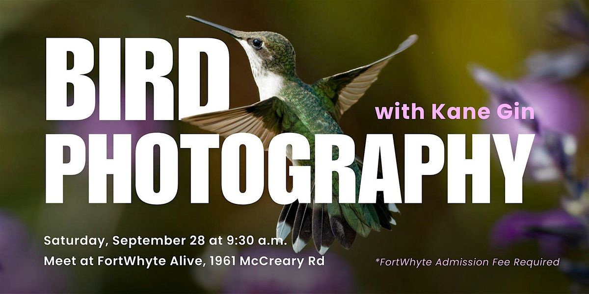 Bird Photography with Kane Gin