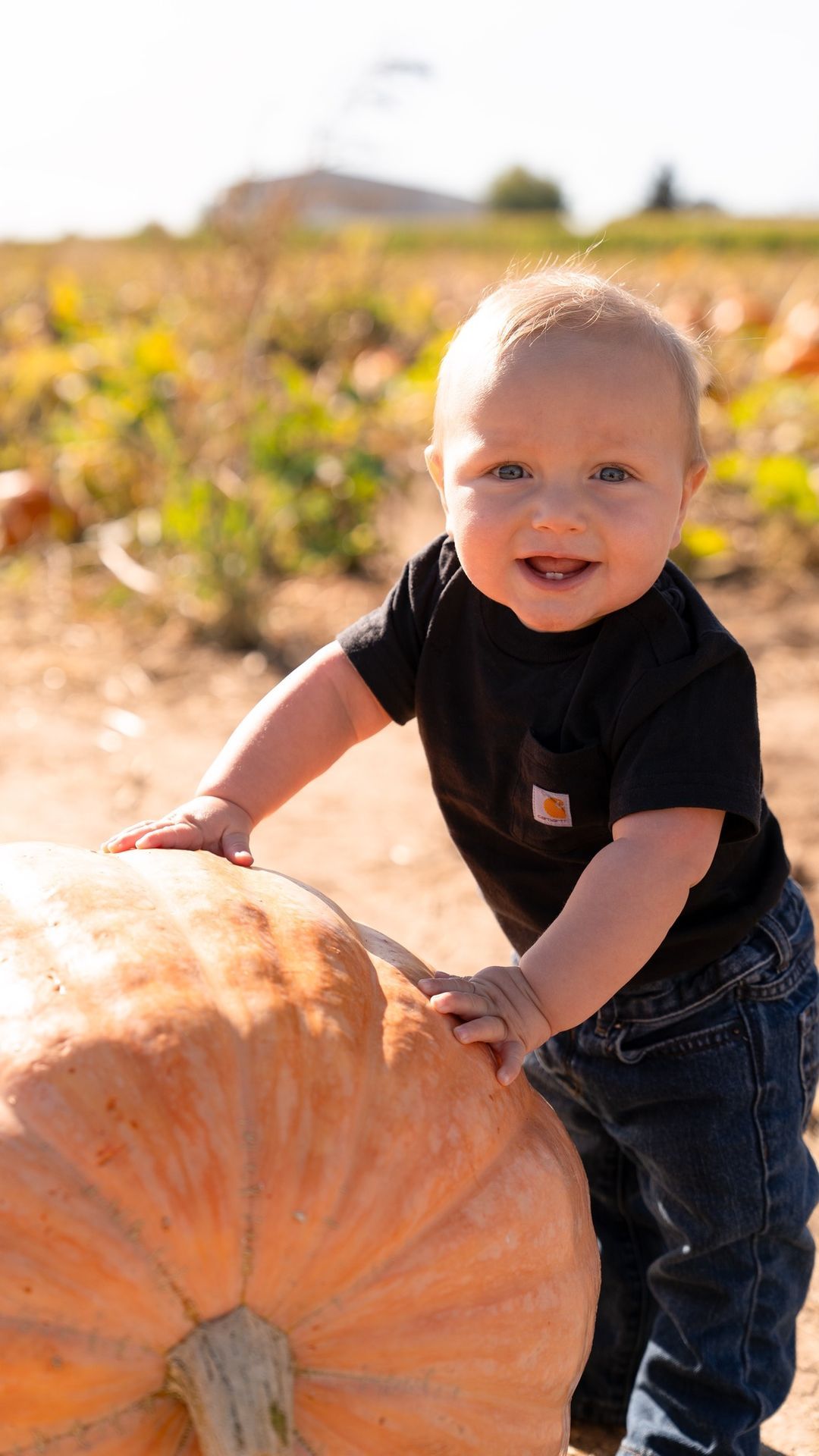 Baby\u2019s 1st Pumpkin