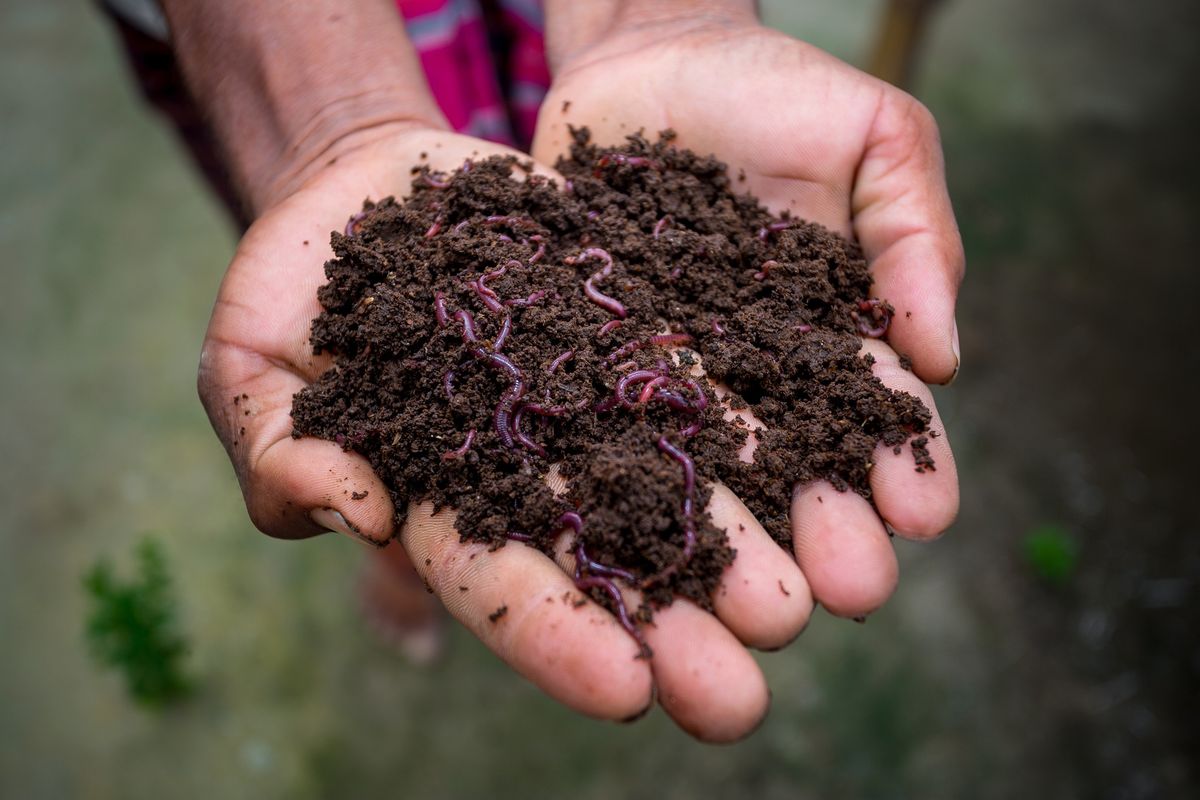 Workshop: Vermicompost Bins