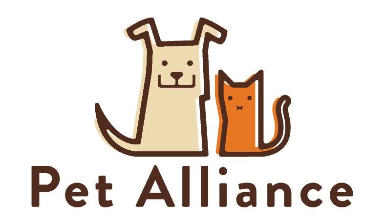 General Meeting: Beekeeping Presentation\/Pet Alliance\/Pajama Party