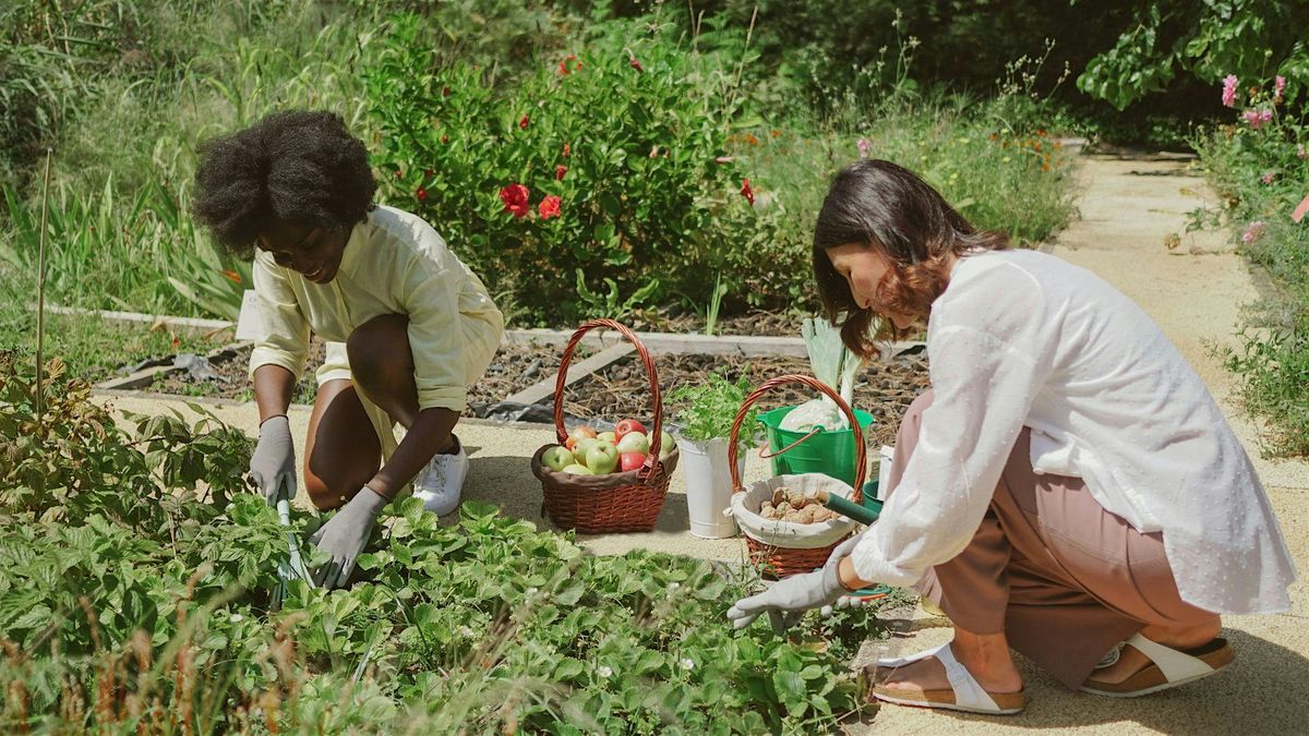 Transforming cities with green spaces: Benefits, Justice, and Reflections