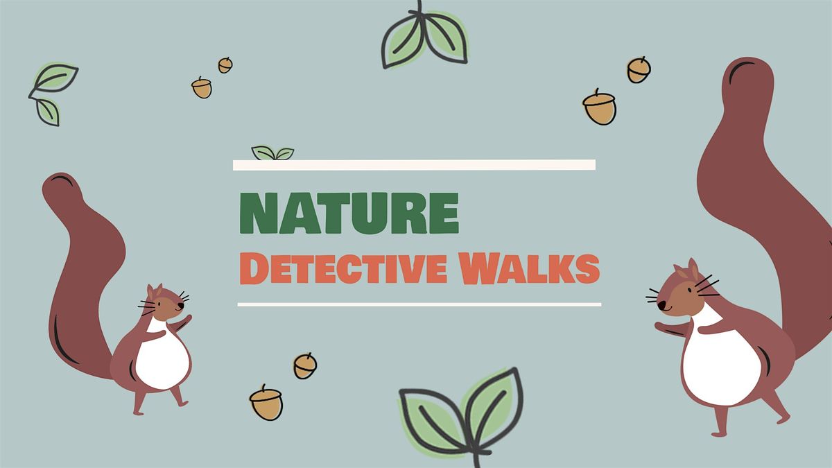 Nature Detective Walk November 2024: Lange Erlen