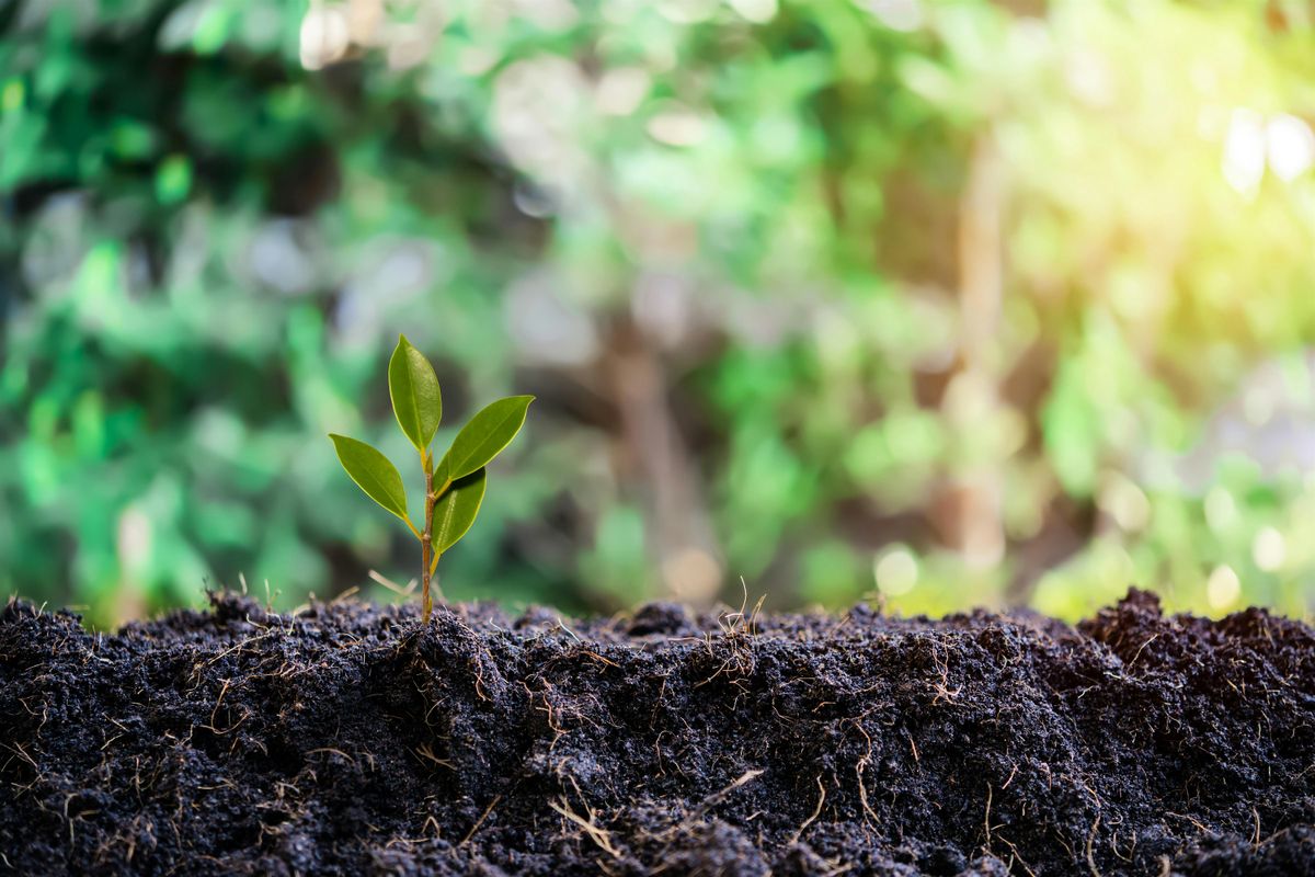 2024 Summer Enrichment Series - Composting Basics