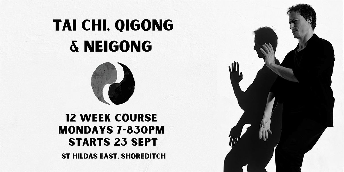 Tai Chi, NeiGong and QiGong 12 Week Course