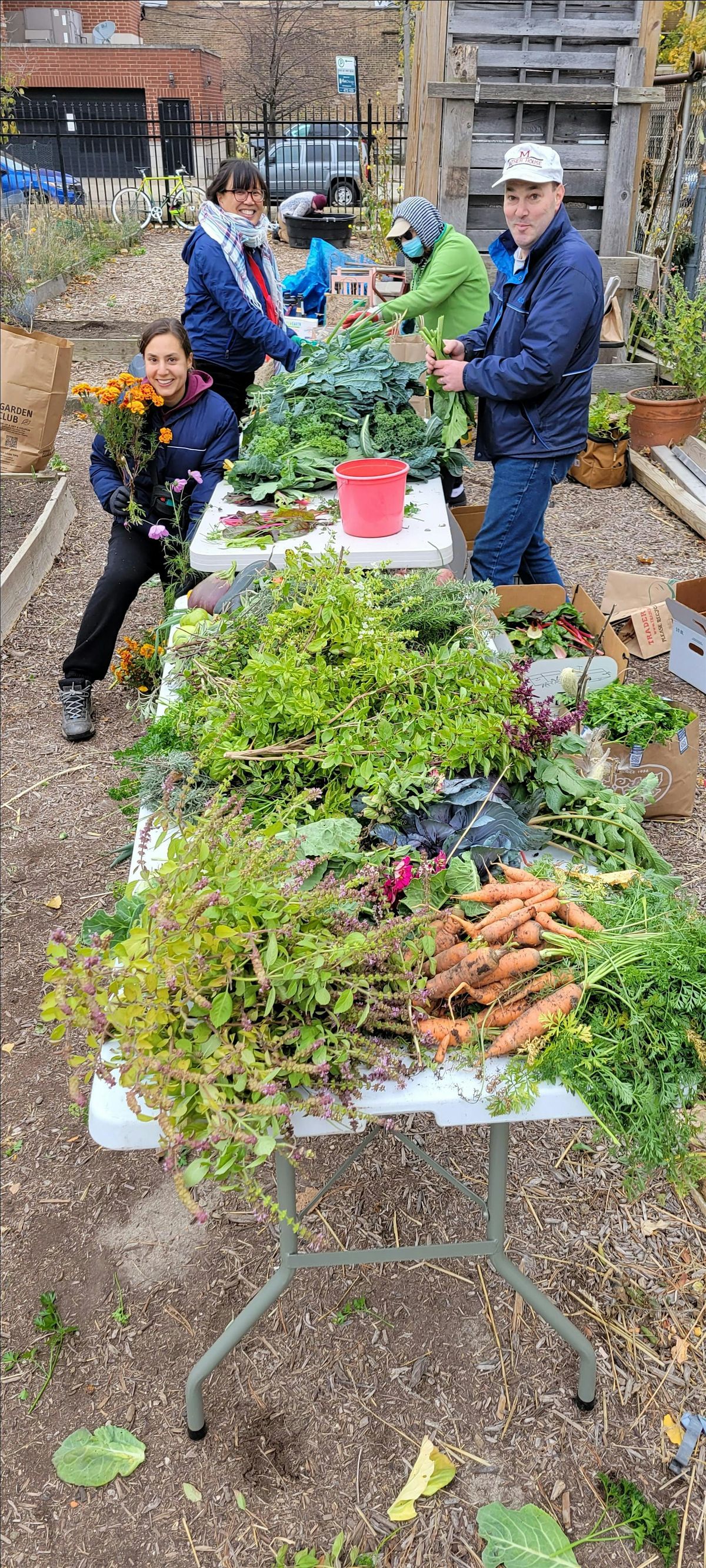 Harvest Party and gleaning